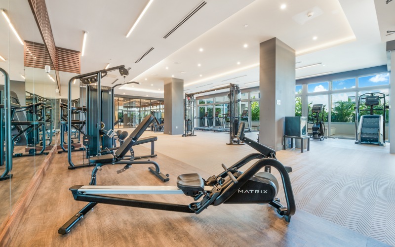 Fully equipped fitness center with machines and free weights